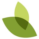 Agrace company logo
