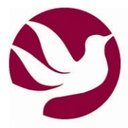 Redstone company logo