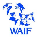 Whidbey Animals' Improvement Foundation (WAIF) company logo