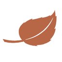 Aspen Healthcare company logo
