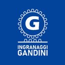 INGRANAGGI GANDINI company logo