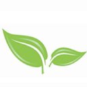 Safe harbour ltd company logo