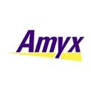 Amyx, Inc. company logo