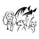 Lake Stevens Animal Hospital company logo