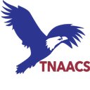 The New American Academy Charter School company logo