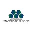 Multisinergia tamver company logo