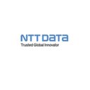 株式会社NTTデータ・ニューソン company logo
