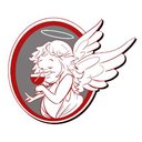SAS DOURENN company logo