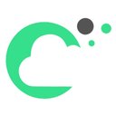 The Saasy People company logo