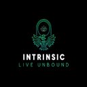 Intrinsic Legacy Solutions company logo