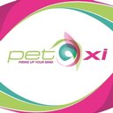 PET-Xi Training Ltd company logo