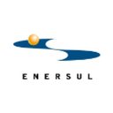 Enersul Inc 