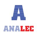 Analec Infotech company logo