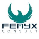 FENYX Consult company logo