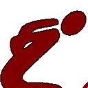 Sala Chiropractic and Rehabilitation company logo
