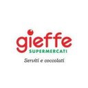 GIEFFE S.R.L. company logo