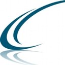 Blue Wing Technical company logo