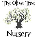 The Olive Tree Nursery company logo
