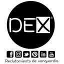 DEX HUNTERS company logo