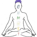 Center for Holistic Mental Health and Sexual Therapy, LLC company logo