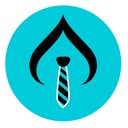 The Ace Consulting Group company logo