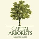 Capital Arborists, Inc. company logo