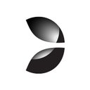 Evolution Americas company logo