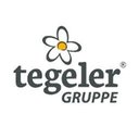 Specht & Tegeler Holding GmbH company logo