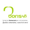 BORIS 45 company logo