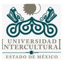 Universidad Intercultural del Estado de México company logo