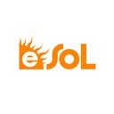 ESOL company logo