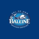 Groupe Salins company logo
