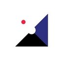 Punter Southall Group company logo