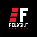 Jacques PERRIN - FELICINE company logo