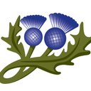 Thistle Lodge Specialist Care Ltd company logo