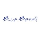 Blue-Berry GmbH company logo