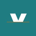 Verge Network Solutions company logo
