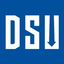 DSU BV company logo