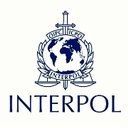 Interpol company logo