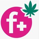 Flamingo+ Cannabis company logo