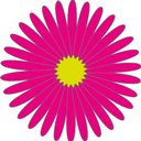 Aster Zorg company logo