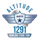 Altitude 1291 company logo