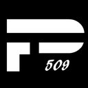 Precizion 509 Gymnastics company logo