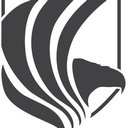 Eagle Eye protection Services company logo