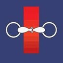 DocHorse company logo