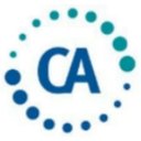 Cyber Advisors company logo