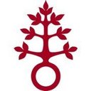 Dominikus-Ringeisen-Werk company logo