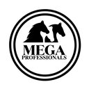MEGA PROFESSIONALS company logo