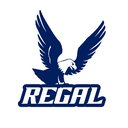Regal Shelf and Mirror Ltd company logo