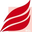 Brandschutz Consult Ingenieurgesellschaft mbH Leipzig company logo